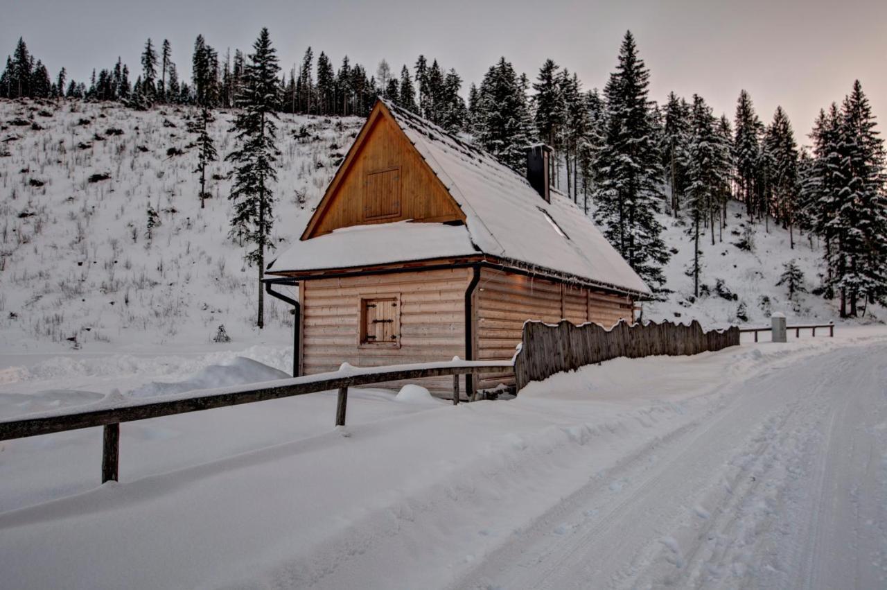 Jedroskowe Chatki Witów Exterior foto