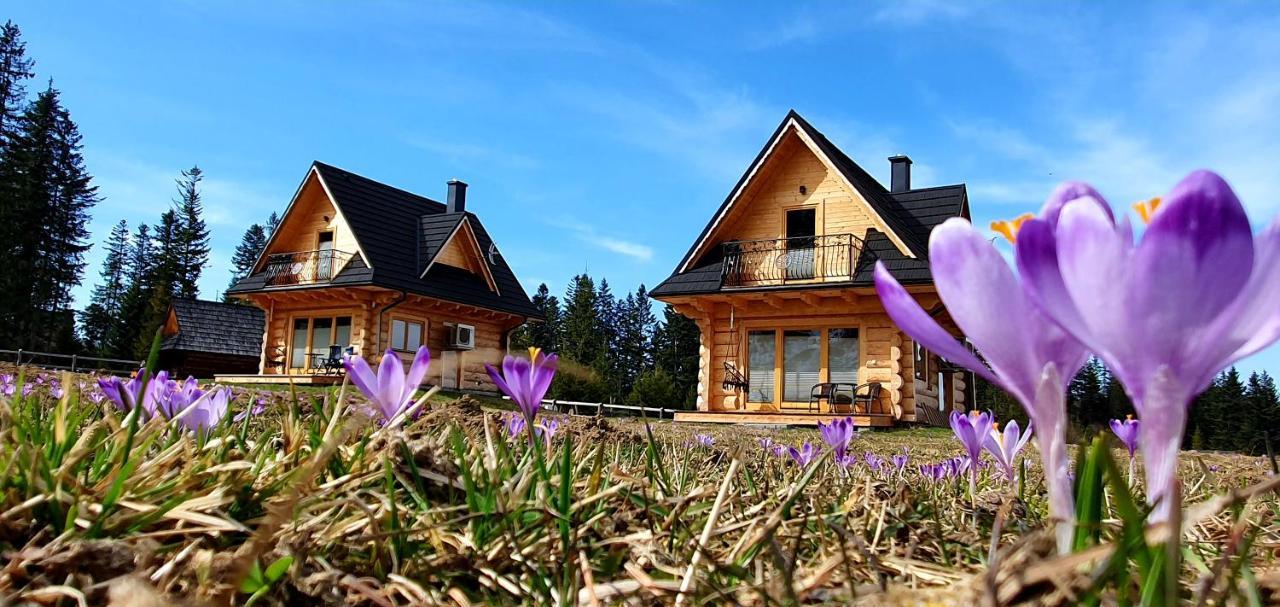 Jedroskowe Chatki Witów Exterior foto